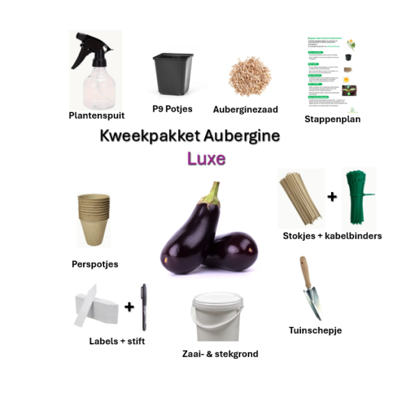 Kweekpakket aubergine