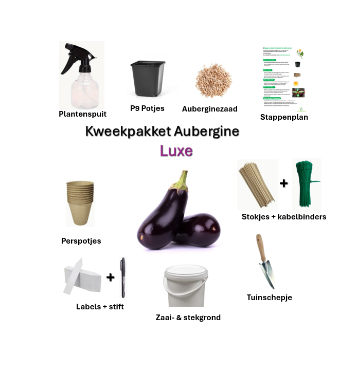 Kweekpakket aubergine