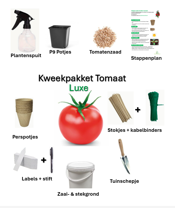 Kweekpakket Tomaat