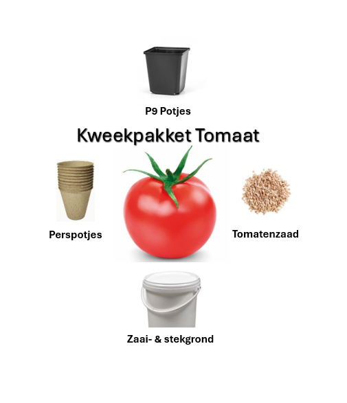 Kweekpakket tomaat