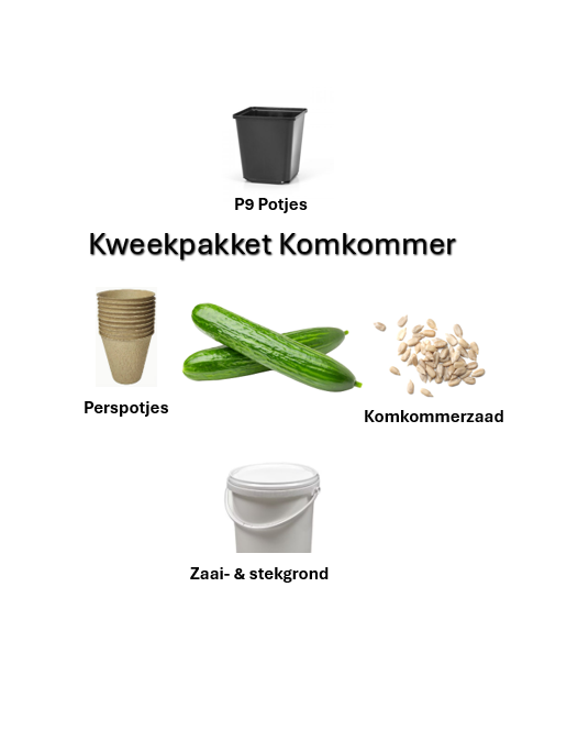 Kweekpakket komkommer, kweekgids komkommer