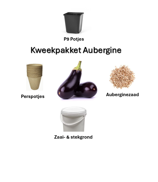 Kweekpakket aubergine