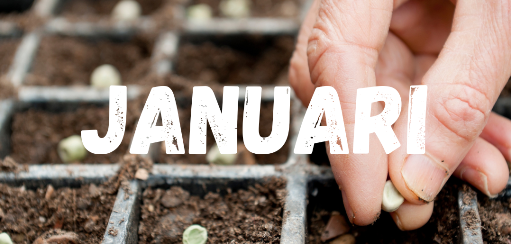 Header moestuinkalender