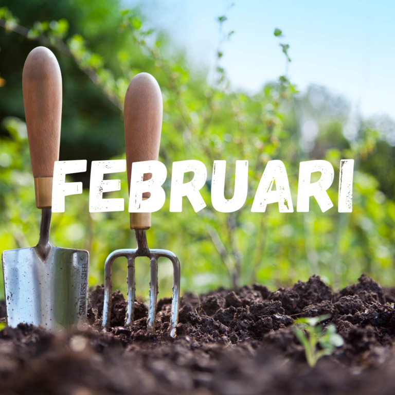 Moestuinkalender februari