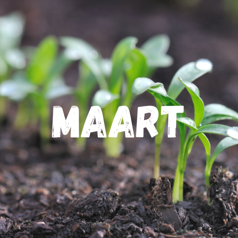 Moestuinkalender Maart