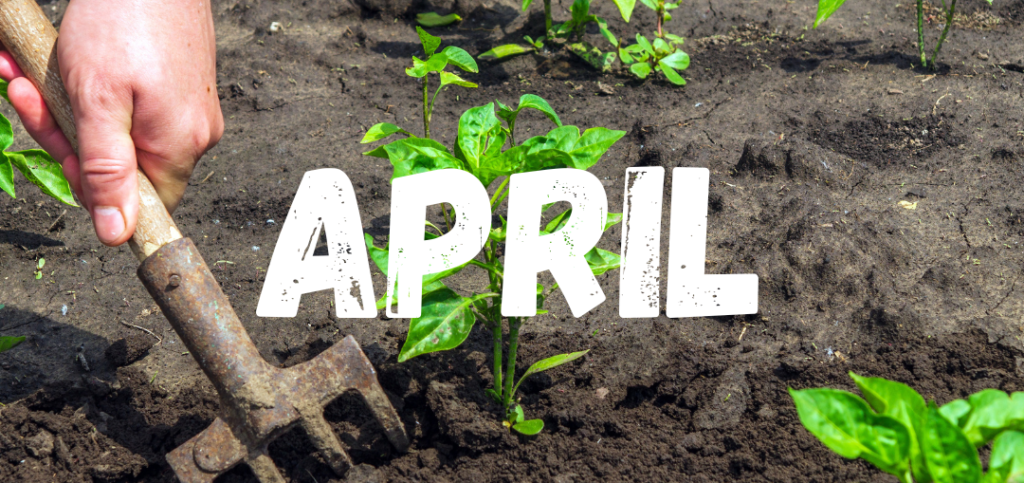 Header moestuinkalender