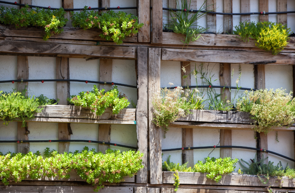 Kleine moestuin, verticaal tuinieren