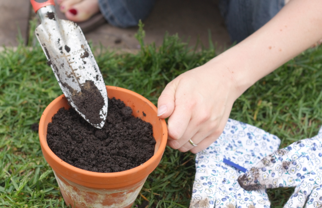 Kleine moestuin, potgrond