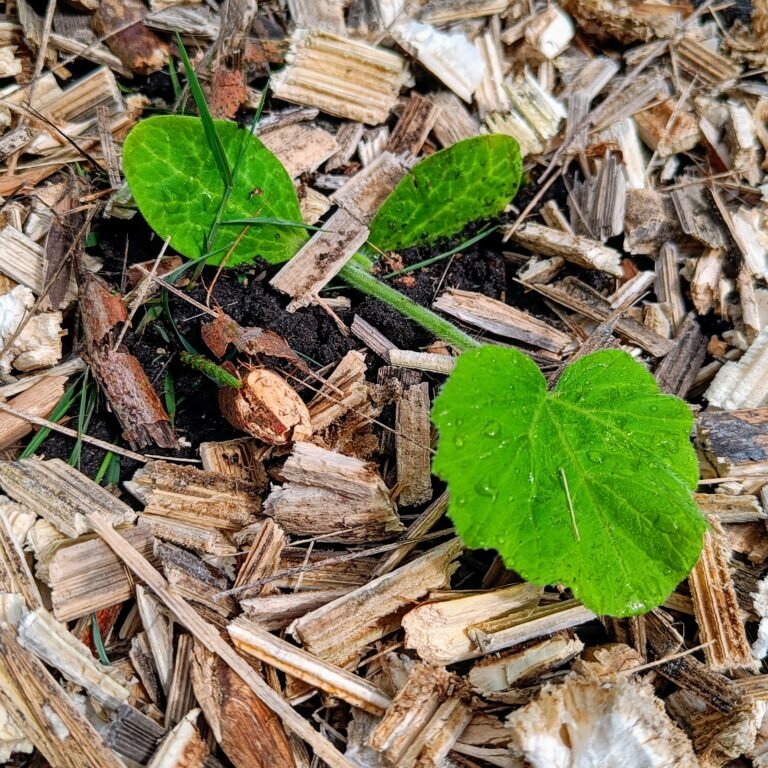 Groen Hergebruiken
