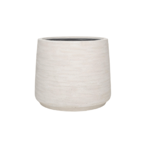 Jumbo Patt Ivory Washed