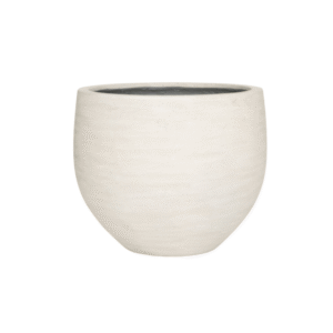 Jumbo Orb Ivory Washed